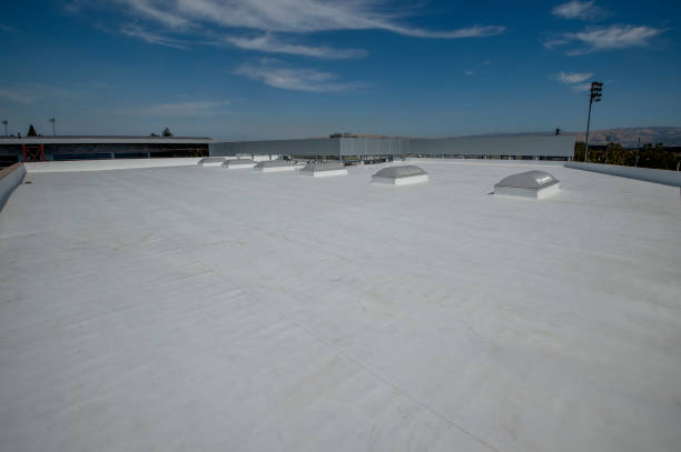 Best Green or Eco-Friendly Roofing Solutions  in Parkersburg, IA